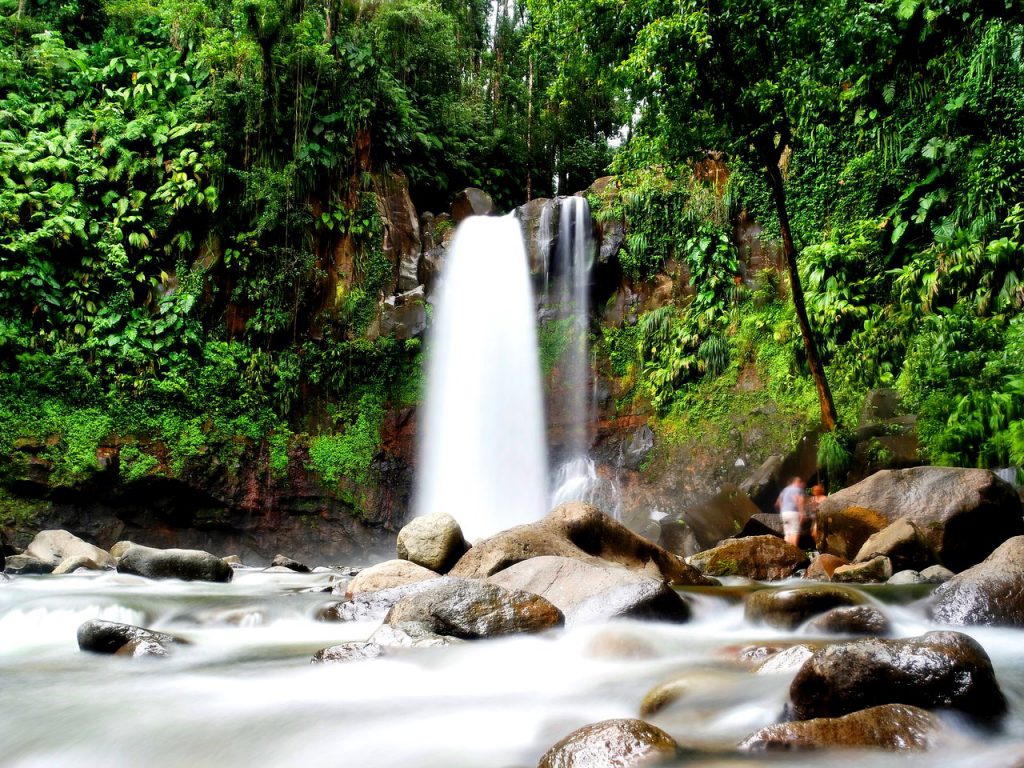 Les Chutes du Carbet (Carbet Vízesés) 2